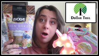 3 Stores 2 State Dollar Tree Haul | NEW AMAZING THINGS