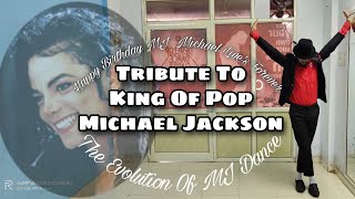 Tribute To Michael Jackson | Dance Cover By Zulkernein Shaikh | Develop Dance Crew |