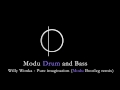 Willy Wonka - Pure Imagination (Modu drum and bass remix)