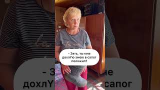 Зять и тёща 🤣#юмор #семья #зять