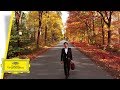 Avi Avital – Bach: Cello Suite No.1, BWV 1007: I. Prelude (Arr. for Mandolin by Avi Avital)