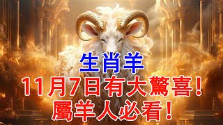 命理提醒：生肖羊，11月7日與眾不同，你這天轉運，四方福氣加持，財喜降臨！快看發生什麼？【佛語】#運勢 #風水 #佛教 #生肖 #佛語