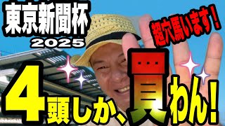 【東京新聞杯2025】馬群マスターで4頭に絞る！超穴馬います！