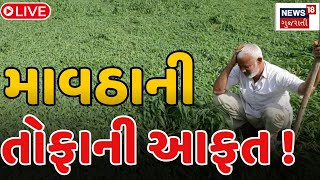 🟠Unseasonal Rain Gujarat LIVE | માવઠાએ બગાડી શિયાળુ પાકની સિઝન | Farmers | Crop Damage | News 18