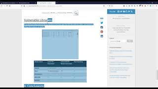 API Security Lab Walkthrough: Export Injection: Port Scan