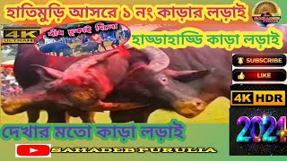 হাতিমুড়ি আসরে  ১ নং কাড়ার লড়াই।কমিটি🆚 দীনবন্ধু মাহাতোর #hatimuri_1_no_kara_lorai#puruliakaralorai