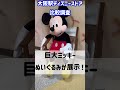 大阪駅周辺ディズニーストア比較調査 shorts ディズニーストア 大阪 正直レビュー ディズニー ディズニー好き disney ミッキーマウス