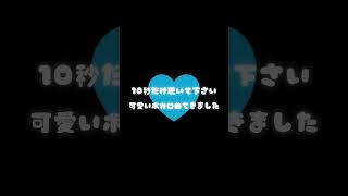 可愛いボカロ曲できました。10秒だけ聴いて下さい。 #vocaloid #ボカロ #初音ミク #オリジナル曲 #shorts