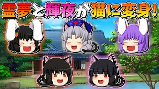 【ゆっくり茶番】猫になった霊夢と輝夜