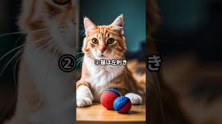 猫の雑学３選 #shorts  #猫  #雑学