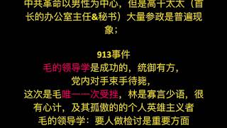 南京大学历史系教授高华 港科大重读共和国历史讲座之文革时期的林彪毛泽东