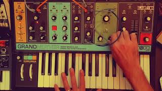 Moog Grandmother + Effector 13 Disaster Fuzz + Strymon Timeline + Meris Mercury7