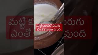 నేను రోజు  కుండలో తోడు పెడతను