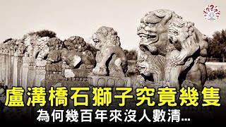 盧溝橋的石獅子究竟有多少只？明明紋絲不動，幾百年來卻沒人數清...【歷史萬花鏡】