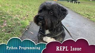 Python Programming - REPL IT Issue