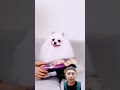 DOGGY DISUAPIN #funny #comedy #dog #trending #shorts #short #viralshorts