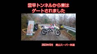 ２０２３年１１月、剣山スーパー林道