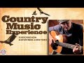 James Taylor, BeeGees, Dan Fogelberg, John Denver, Jim Croce | Folk Rock Country Music Experience