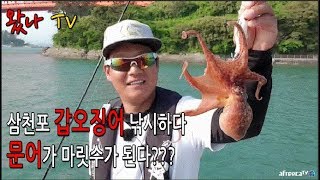 [왔나TV] 삼천포 도보권 문어낚시 포인트!!! (タコ , octopus )