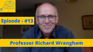 Anthropology, Men vs Women, Patriarchy, Brain Size, Fire, Culture, Humans | Richard Wrangham - #13