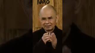 Get Insight with Mindfulness and Concentration | Thich Nhat Hanh | #shorts