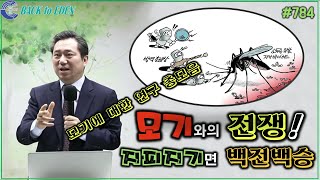 #784. 모기와의 전쟁! 지피지기면 백전백승(모기에 대한 연구 총모음)