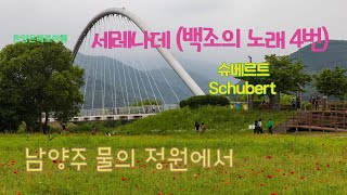 세레나데 (백조의 노래 4번)  슈베르트 Schubert 남양주 물의 정원에서 4K