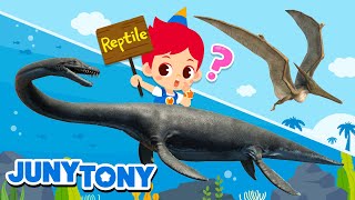 *NEW* I’m NOT a Dinosaur | Dinosaur? Reptile? | Pteranodon, Elasmosaurus | Dinosaur Songs | JunyTony