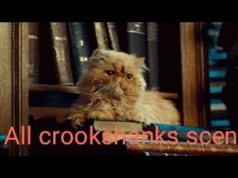 All Crookshanks Scene - YouTube