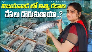 విజయవాడ లో ఇన్ని రకాల చేపలు దొరుకుతాయా ||vijayawada 1 Town fish market| Sabiha Vlogs