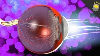 5 Eye Myths - Epic Science #62