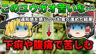 【ゆっくり解説】ユウガオを食べたら食中毒に 原因はユウガオに含まれていた苦み成分『ユウガオによる食中毒』【2020年】