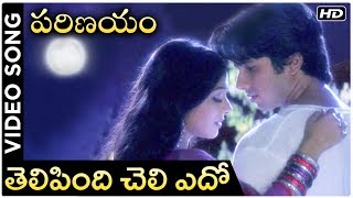 Parinayam Movie | Telipindi Cheli Edo Video Song | Shahid Kapoor | Amrita Rao | Rajshri Telugu