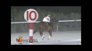 2024/12/19 第47回名古屋大賞典(Jpn3・名古屋ダ2,000M)-ミッキーファイト