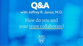 How do you and your team collaborate?