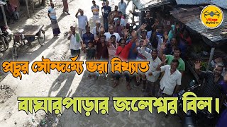 বাংলাদেশের অন্যতম বড় বিল জলেশ্বর সহ - পাইকপাড়া ও কড়ইতলা পুরো গ্রাম ।