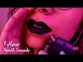 [1 Hour] Mouth Sounds on Tascam (perfect background asmr) ~ ASMR