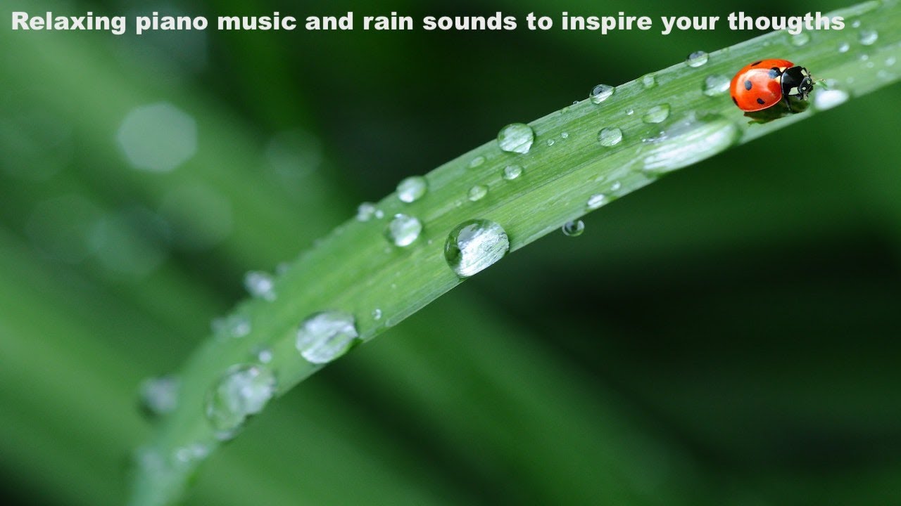 Relaxing Piano Music And Rain Sounds To Inspire Your Thougths Morning