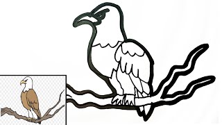 Woww!! Cara menggambar burung elang dengan mudah | how to draw an eagle easy for beginners