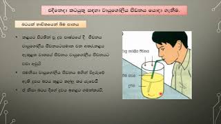 Grade 10 Science in Sinhala | Lesson 15 | Part two