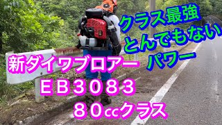 ２３８.草刈りの後の　清掃作業致しました、新ダイワブロアー　ＥＢ３０８３、８０ccクラス @竜ちゃんの田舎暮らしTV