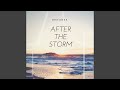 After the Storm