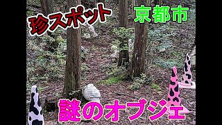 【珍スポット・珍百景２１】京都の山林に、謎のオブジェ【アート】【不思議な世界】