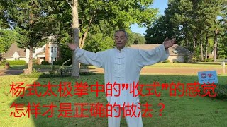 杨式太极拳中的”收式”的感觉怎样才是正确的做法？中国传统武术太极、形意、八卦三大内家拳之首的太极的魅力