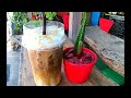 คาราเมลมัคคิอาโต้ caramel macchiato จากเนสกาแฟ nescafe ร้านกาแฟไร่กลิ่นสังข์ ep.197