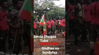 Gadaa Abarraa@ Sonsa Dhuga tube