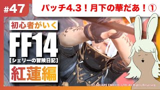 【FF14 紅蓮編】#47 パッチ4.3！月下の華だあ！①【Meteor / Mandragora】【初見さんも大歓迎】【初心者が行く！シェリーの冒険日記！】