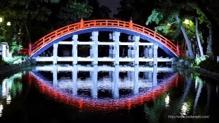 住吉大社の夜景 御本殿＆太鼓橋ライトアップ Night View of Sumiyoshi Grand Shrine Osaka Japan