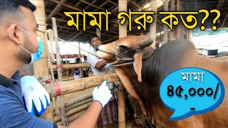 গরুর হাটে চরম দামাদামি | ব্যাপারী গরু ছাড়তে চাচ্ছে না | চট্টগ্রাম সাগরিকা গরুর হাট | Gorur Haat 2024