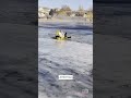 Dog Rescued From Thin Ice in Colorado #shorts